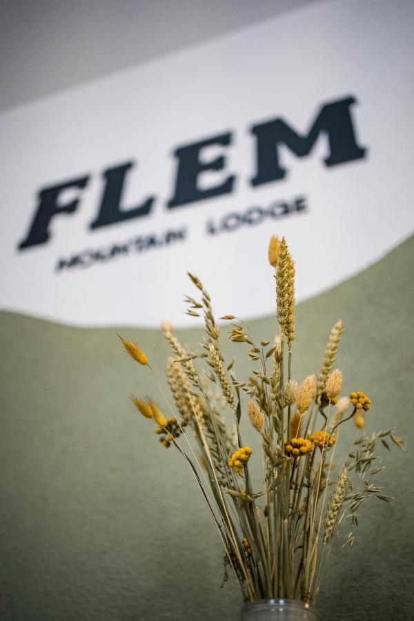 Flem Mountain Flims